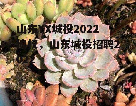 山东YX城投2022债权，山东城投招聘2022