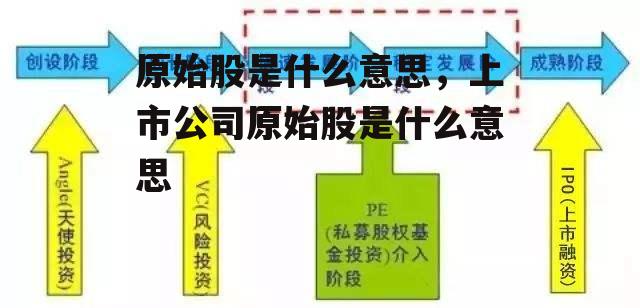 原始股是什么意思，上市公司原始股是什么意思