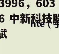 603996，603996 中新科技股吧胡斌