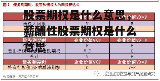 股票期权是什么意思，薪酬性股票期权是什么意思