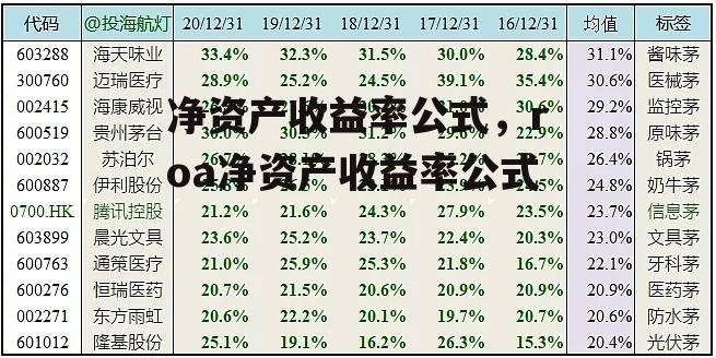 净资产收益率公式，roa净资产收益率公式