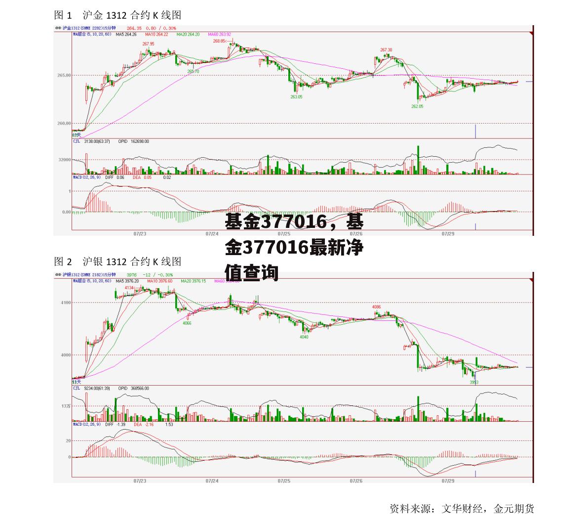 基金377016，基金377016最新净值查询