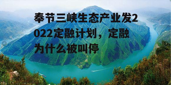 奉节三峡生态产业发2022定融计划，定融为什么被叫停