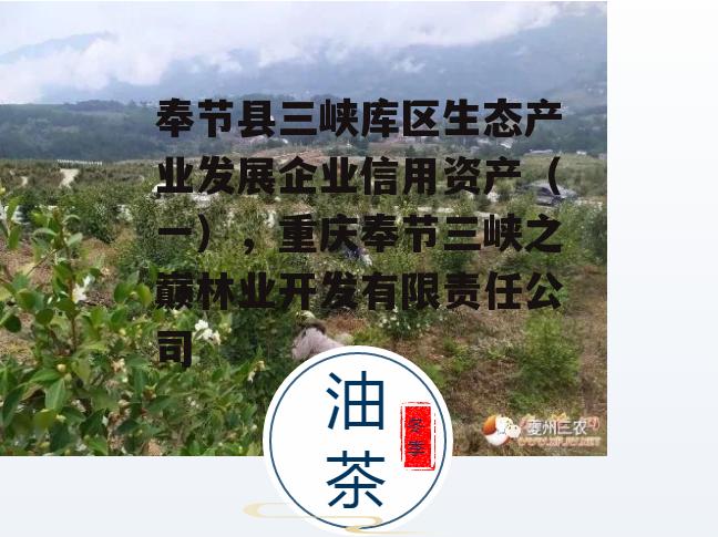 奉节县三峡库区生态产业发展企业信用资产（一），重庆奉节三峡之巅林业开发有限责任公司