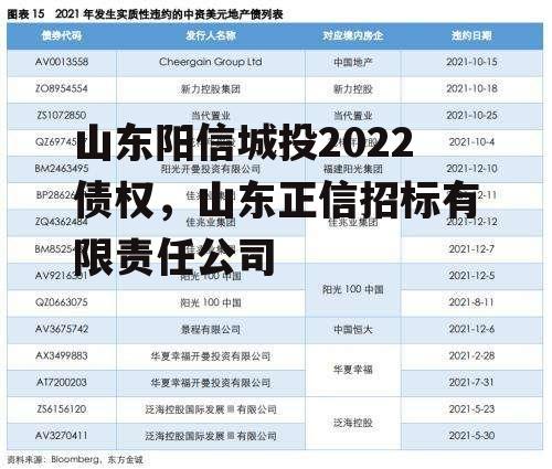 山东阳信城投2022债权，山东正信招标有限责任公司