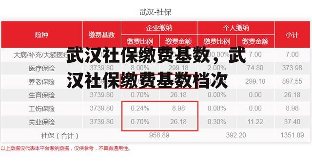 武汉社保缴费基数，武汉社保缴费基数档次