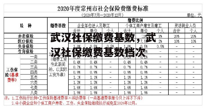 武汉社保缴费基数，武汉社保缴费基数档次