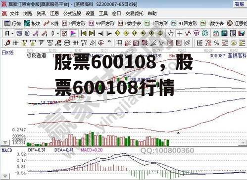股票600108，股票600108行情