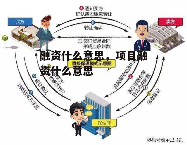 融资什么意思，项目融资什么意思