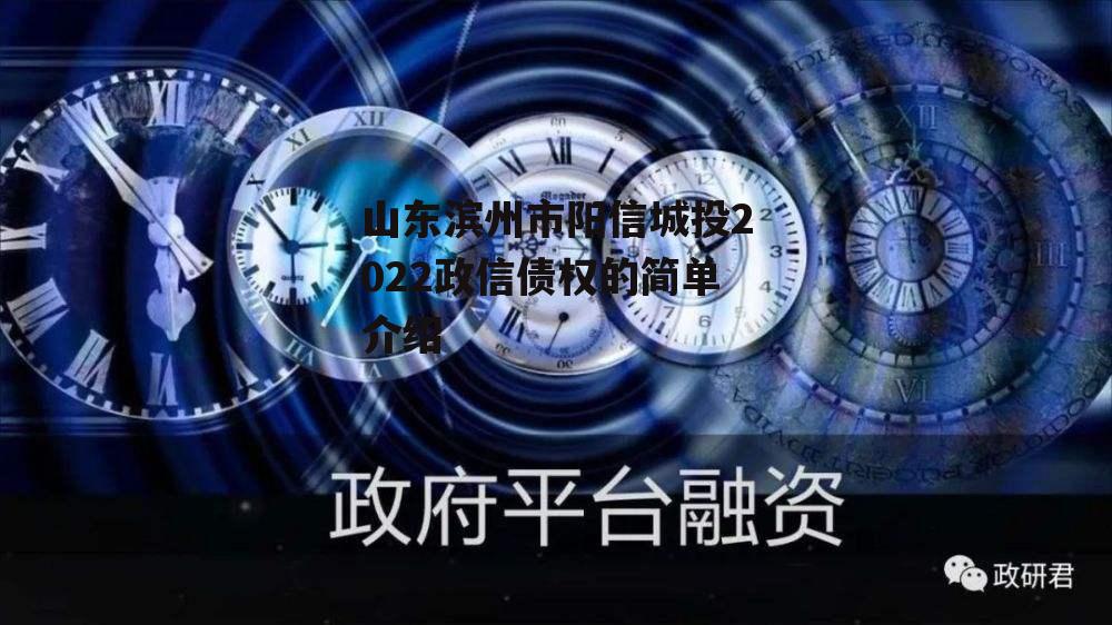 山东滨州市阳信城投2022政信债权的简单介绍