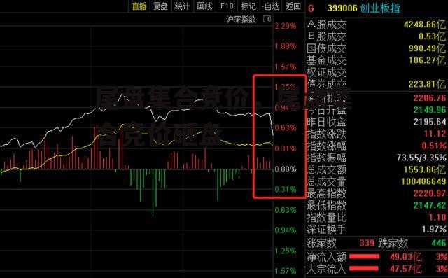 尾盘集合竞价，尾盘集合竞价砸盘