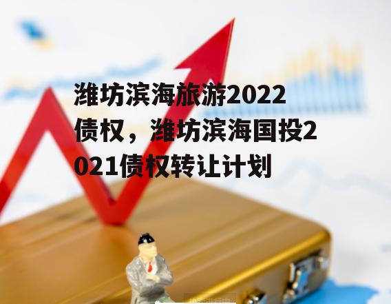 潍坊滨海旅游2022债权，潍坊滨海国投2021债权转让计划