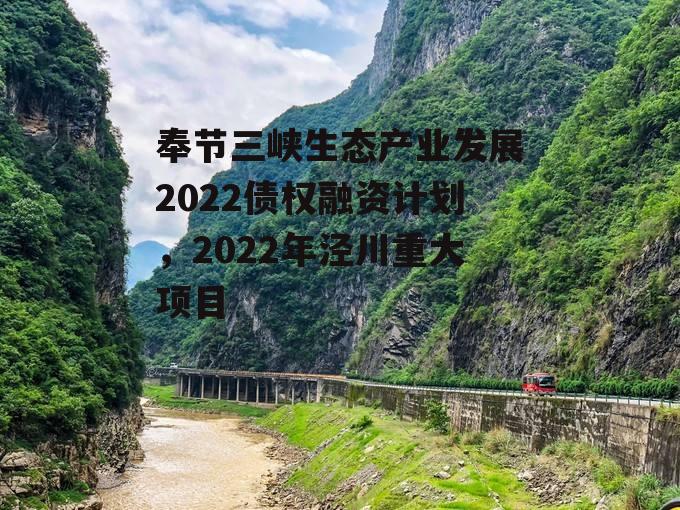 奉节三峡生态产业发展2022债权融资计划，2022年泾川重大项目