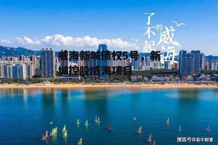 威海新城债权5号，新城控股威海项目