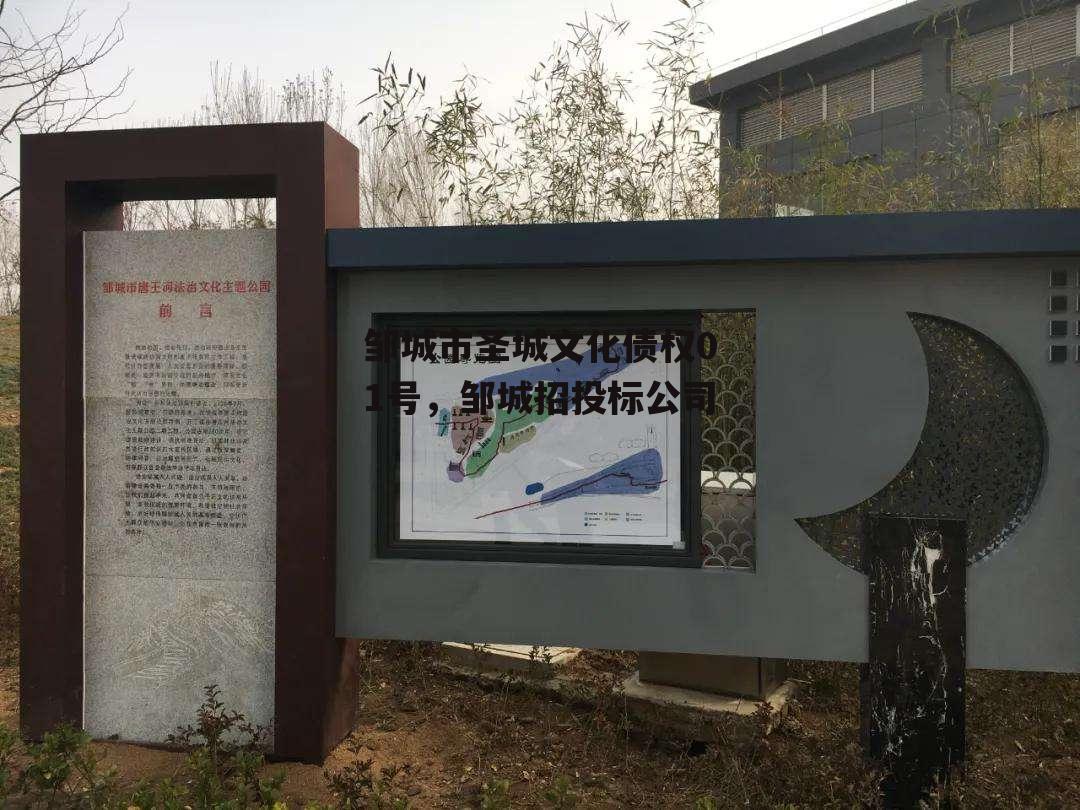 邹城市圣城文化债权01号，邹城招投标公司