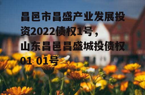 昌邑市昌盛产业发展投资2022债权1号，山东昌邑昌盛城投债权01 01号