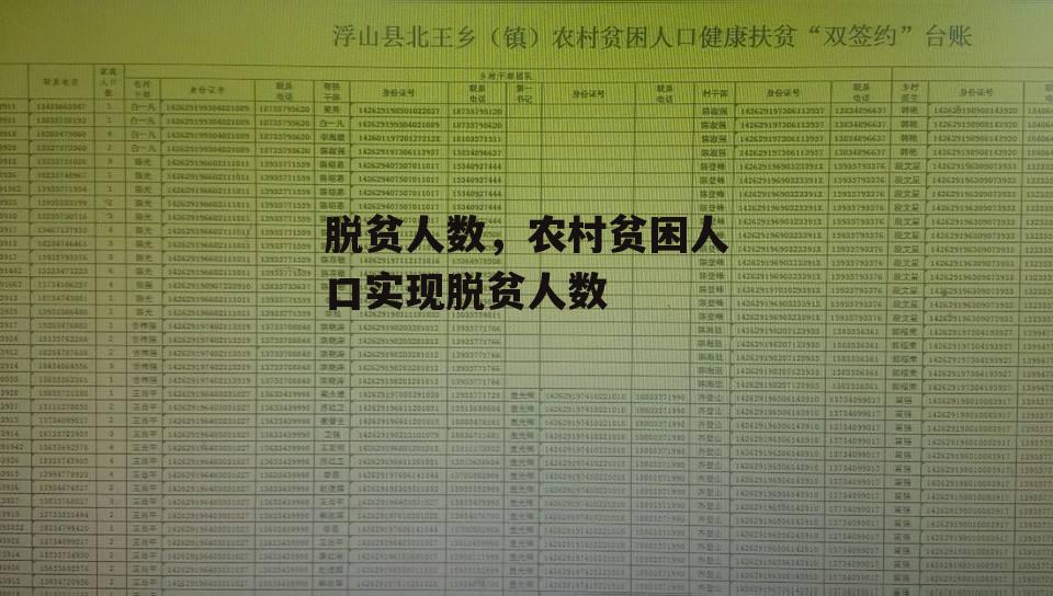 脱贫人数，农村贫困人口实现脱贫人数