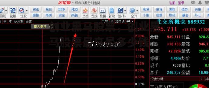 创业黑马股票，创业黑马股票最高是多少钱