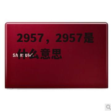 2957，2957是什么意思