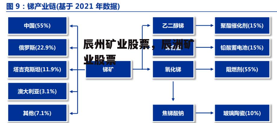 辰州矿业股票，辰洲矿业股票