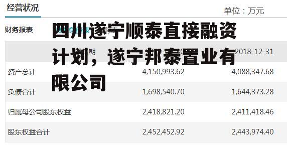 四川遂宁顺泰直接融资计划，遂宁邦泰置业有限公司