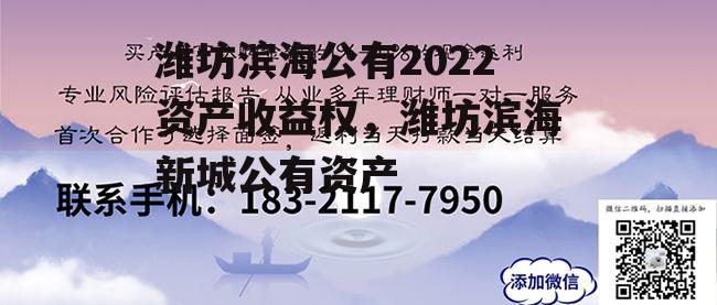 潍坊滨海公有2022资产收益权，潍坊滨海新城公有资产