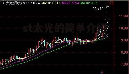 st太光的简单介绍