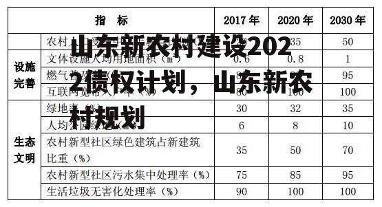 山东新农村建设2022债权计划，山东新农村规划