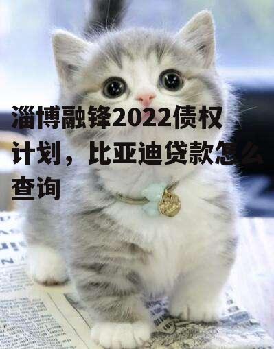 淄博融锋2022债权计划，比亚迪贷款怎么查询