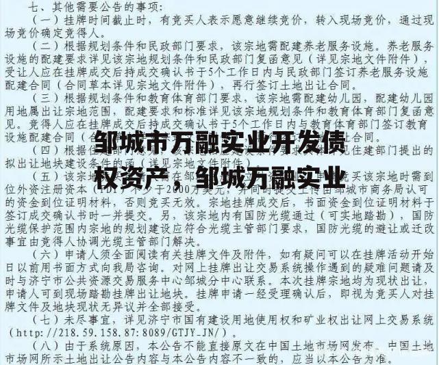 邹城市万融实业开发债权资产，邹城万融实业