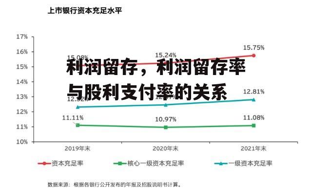 利润留存，利润留存率与股利支付率的关系