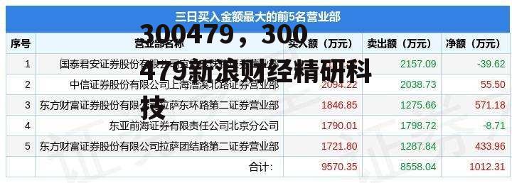 300479，300479新浪财经精研科技