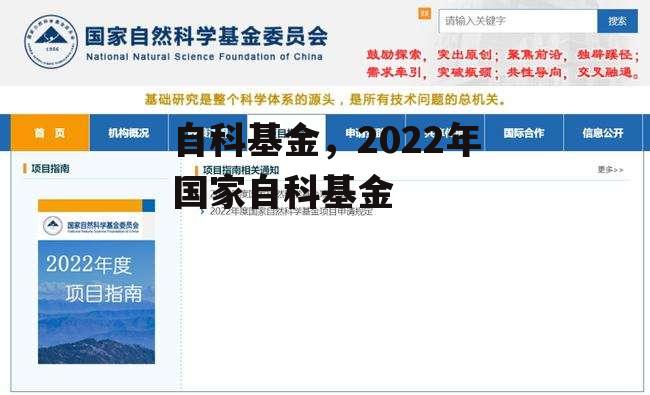 自科基金，2022年国家自科基金