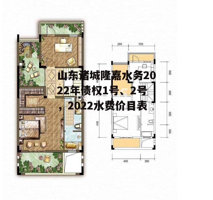 山东诸城隆嘉水务2022年债权1号、2号，2022水费价目表