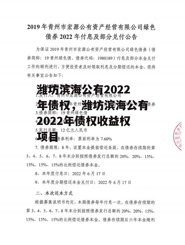 潍坊滨海公有2022年债权，潍坊滨海公有2022年债权收益权项目