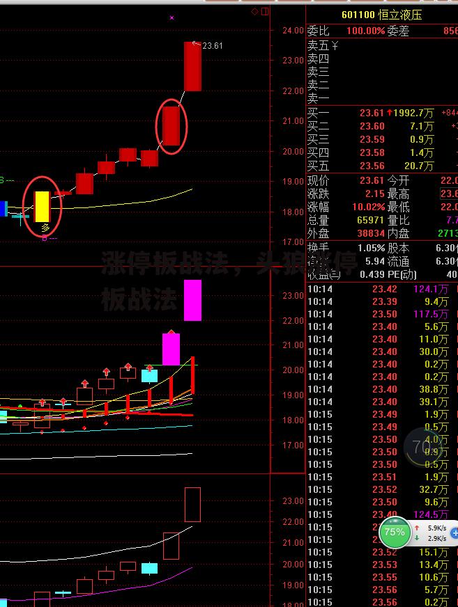 涨停板战法，头狼涨停板战法