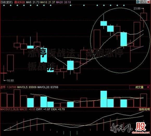 涨停板战法，头狼涨停板战法