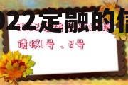 关于天津东丽市政债权2号2022定融的信息