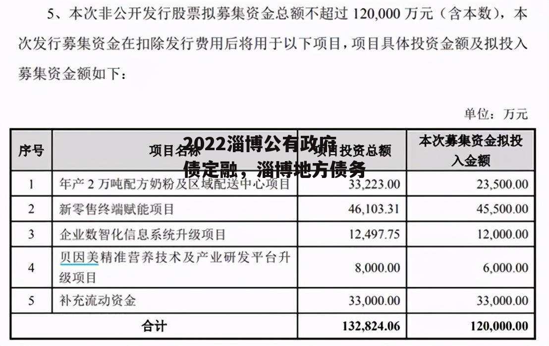 2022淄博公有政府债定融，淄博地方债务