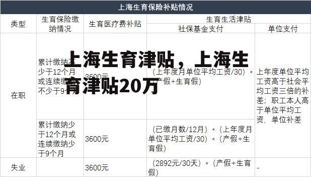 上海生育津贴，上海生育津贴20万