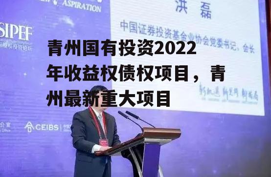 青州国有投资2022年收益权债权项目，青州最新重大项目