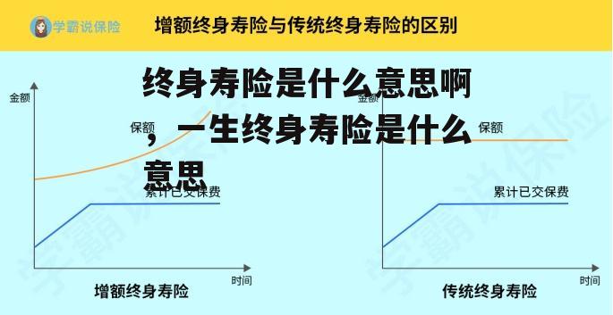 终身寿险是什么意思啊，一生终身寿险是什么意思