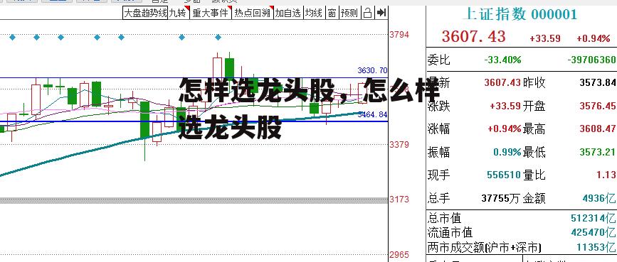 怎样选龙头股，怎么样选龙头股