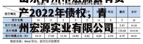 山东青州市宏源公有资产2022年债权，青州宏源实业有限公司