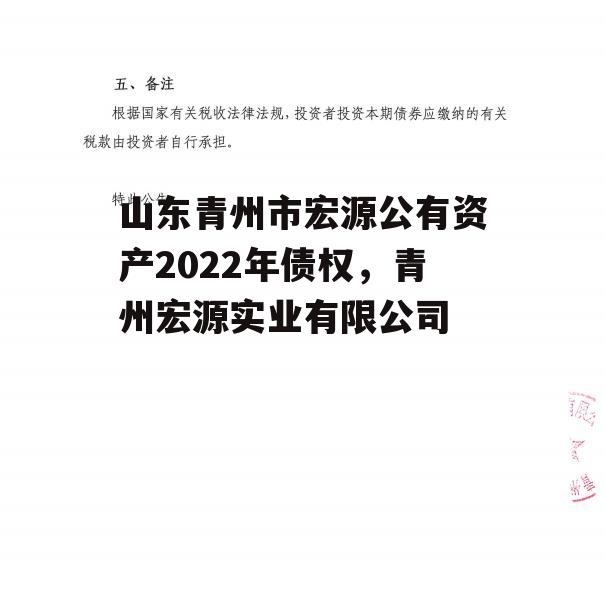 山东青州市宏源公有资产2022年债权，青州宏源实业有限公司