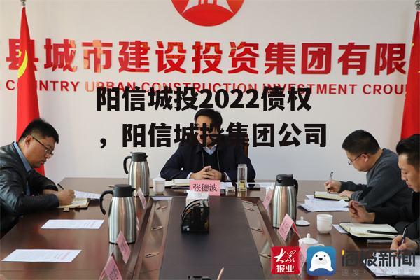 阳信城投2022债权，阳信城投集团公司