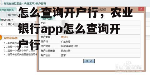 怎么查询开户行，农业银行app怎么查询开户行