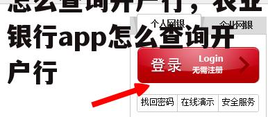 怎么查询开户行，农业银行app怎么查询开户行