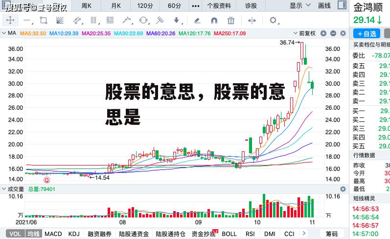 股票的意思，股票的意思是