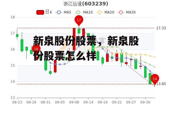 新泉股份股票，新泉股份股票怎么样